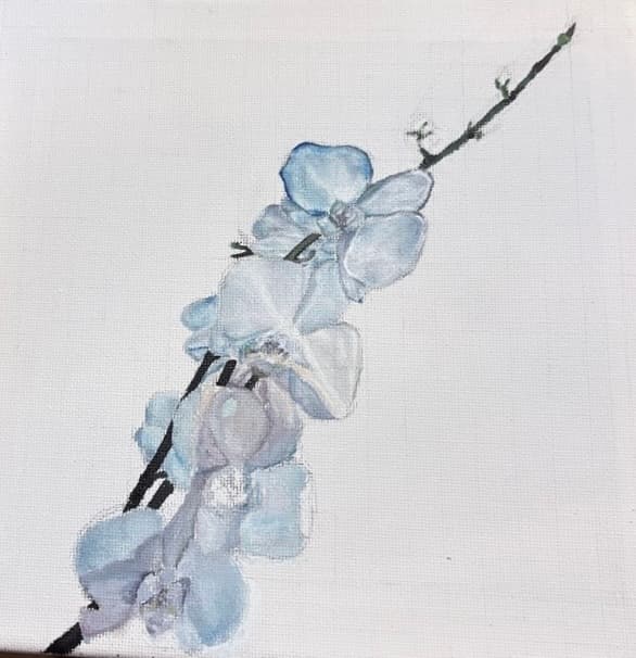 Orchid Study by Vilma Markusson